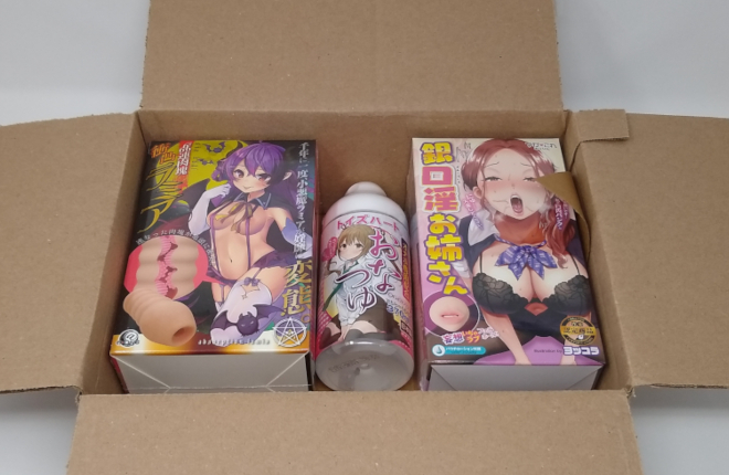 Bought Some New Onaholes: Gingkoin Onesan And 6 Ren Nikukai Absorption Lamia